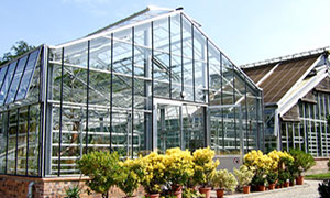 Gewächshausbau, Gewächshäuser, Gewächshausmodernisierung, Wartung Gewächshaus, Werder, Potsdam, Berlin, Brandenburg, Sachsen-Anhalt,