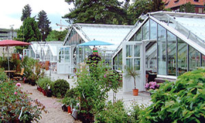 Gewächshausbau, Gewächshäuser, Gewächshausmodernisierung, Wartung Gewächshaus, Werder, Potsdam, Berlin, Brandenburg, Sachsen-Anhalt,