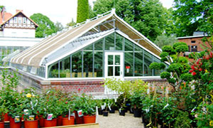 Gewächshausbau, Gewächshäuser, Gewächshausmodernisierung, Wartung Gewächshaus, Werder, Potsdam, Berlin, Brandenburg, Sachsen-Anhalt,